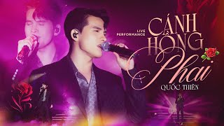 CÁNH HỒNG PHAI - QUỐC THIÊN Khiến Khán Giả Say Đắm Với Giọng Live Đầy Cảm Xúc | Official Music Video