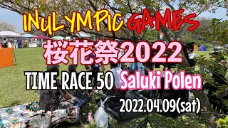 【サルーキ 】ポーレン イヌリンピック桜花祭2022 タイムレース50