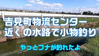 吉見町物流センター近くの水路で小物釣り　やっとフナが釣れたよ