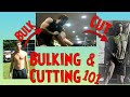 BULKING and CUTTING 101 (EVERYTHING you need to know!!!)