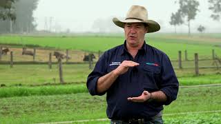 Singleton Pasture Demonstration Site Winter Walk Through - Andrew Mulligan on Animal Health