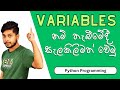 09. Variables නම් තැබීමේදී සැලකිලිමත් වෙමු | Python Programming | Sinhala