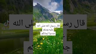 #الدعاء_عباده #استغفرالله #الحمدلله_كثيرا #صلوا_على_الحبيب_محمد_ﷺ #لاالهالاالله #دويتو#دعاءمستجاب