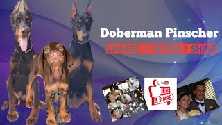 MAIMIKEORDOÑEZ VLOG 009 || DOBERMAN PINSCHER Playing | Sharee | Seven | Shine