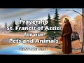 Prayers to St. Francis of Assisi for our Pets and Animals | Feast Day: Oct. 4