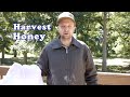 How We Harvest Honey From Our Backyard Beehive Using An Extractor