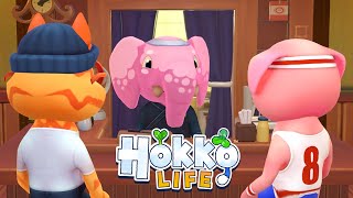 Hokko Life Beginner's Guide