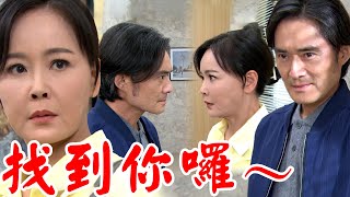 天道│EP17預告 麗萍被長勝堵到嗆聲要報當年之仇 雅潔全力支持東俊參選立委 Fight For Justice│Vidol