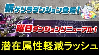 【潜在属性軽減ラッシュ】正月カミムスビ✕花木九里虎のシヴァドラ編成で周回！！【パズドラ】