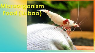 Shrimp Food Microorganism Bag lubao