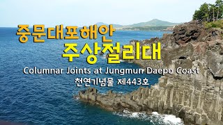 중문·대포해안 주상절리대(천연기념물 제443호),  Columnar Joints at Jungmun Daepo Coast (Natural Monument No. 443)