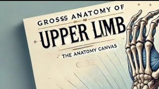 Wrist & Hand | 3D Anatomage table | Gross Anatomy | Dr Shehla Aman