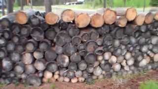 Obadiah's: Know Your Firewood