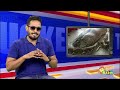 மிகவும் ஆபத்தான அனகோண்டா பாம்புகள் 12 tucker adithya tv