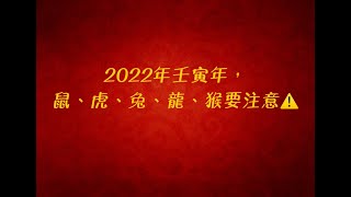 2022年壬寅年， 鼠、虎、兔、龍、猴要注意!