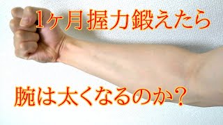 握力を鍛えたら前腕は太くなるのか検証してみた！