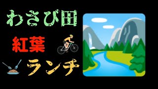 静岡市、わさびとお茶の桃源郷　有東木に行ってきたよ〜!