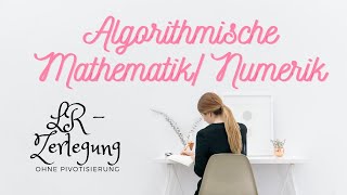 Algorithmische Mathematik - Die LR-Zerlegung (ohne Pivotisierung) - Numerik