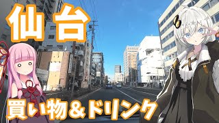 【お出かけ】ずんだを求めて街中へ【VOICEROID車載】