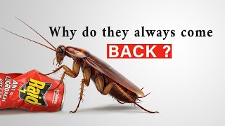 How I Finally Stopped Roaches From Coming Back (For Good)