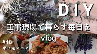 【ボロ家マニア】#48 工事現場で暮らす毎日をvlog　カンを頼りに一年前と激変した環境は！