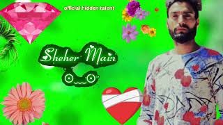 Bewafa Maahi Aamir | official hidden talent | Bewafa Sanam New Hindi Song status