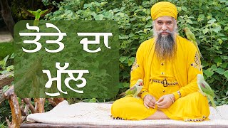 ਤੋਤੇ ਦਾ ਮੁੱਲ । Tote Da Mull  | Sant Darshan Singh Ji Dhakki sahib Wale