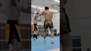 岩KING選手 キレのある右カーフから右ミドルのコンビネーションを決める！ #shorts