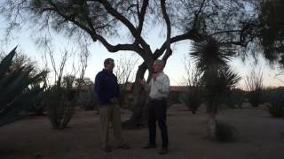 Proper Pre-Monsoon Pruning. Dr. Ed Gilman