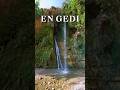 En Gedi, Israel: Living Water in the Desert - Full Video in Description