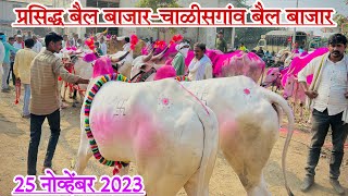 प्रसिद्ध बैल बाजार-चाळीसगांव बैल बाजार | 25 नोव्हेंबर 2023 | Chalisgaon bail bazar | #बैलखरेदी..