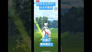 【#ポケモンgo 】ミュウツーレイド初日に色違いゲット #shorts #ミュウツー #色違い #レイド #ポケモン #pokemon #raid #mewtwo #pokemongo #shiny