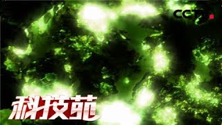 《科技苑》 20180207 “吃”发光菌的天麻 | CCTV农业