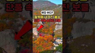 The surprising identity of the giant Buddha statue hidden on a cliff among the maple leaves!