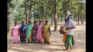 Biodiversity of West Bengal: Himalaya to Sagar (পশ্চিমবঙ্গের জীববৈচিত্র্য : হিমালয় থেকে সাগর)