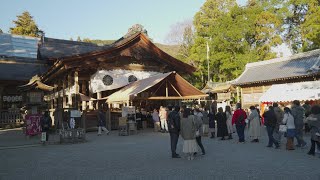 Shikoku Snap Video 4K - Tosa Shrine on New Year's Day 2022 | Kochi City, Japan