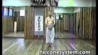 AN ICHI MIYAGI   SANCHIN   FALCONE'S SYSTEM INTERNATIONAL