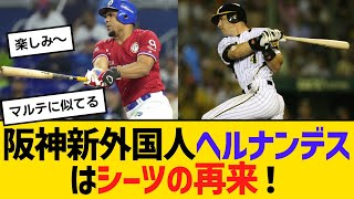 阪神・新外国人、ヘルナンデスはシーツの再来！　【ネットの反応】【反応集】