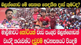 Balangoda/Anura/බලන්ගොඩ සෙනග නොදැකපු දෑස් කුමටද? මාලිමාවෙි කෝටියේ වැඩි පංගුව /@ADARATANEWS