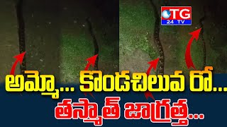 అమ్మో... కొండచిలువ రో...   తస్మాత్ జాగ్రత్త #TG24TV #Telugunews #python