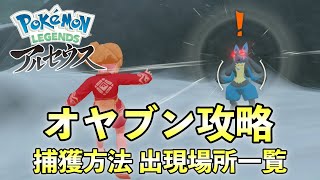 【レジェンズアルセウス】オヤブン捕獲方法/オヤブンポケモン出現場所一覧マップ