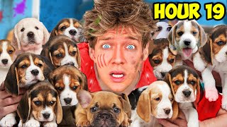 Surviving As Dog Parents For 24 Hours!! World’s Cutest Animals Control Our Lives *$100,000 Damage!*
