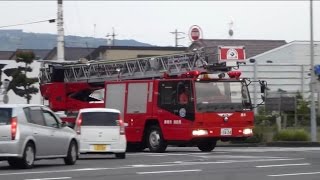 【緊急走行】静岡市消防局 清水救助1・清水はしご1　中高層建物火災第1出動