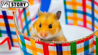 Hamster in the Social Media Maze - Emoji 😆 Homura Ham