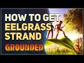 How to get Eelgrass Strand Grounded