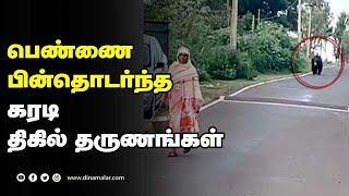 பெண்ணை பின்தொடர்ந்த கரடி திகில் தருணங்கள்