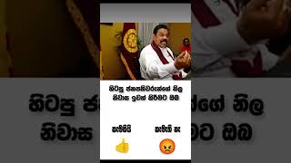 ඔයාගෙ අදහස මොකක්ද මේ ගැන 🫢 #mahindarajapaksa #akd #cleansrilanka  #news