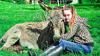 A Girl Who Had Been Mute Since Birth Spoke Her First Words To A Rescue Donkey
