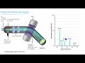 Introducción a la espectrometría de masas | Khan Academy en Español