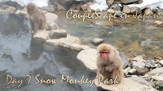 เที่ยวญี่ปุ่นด้วยตัวเอง วันที่ 7 ไปดูลิงแช่ออนเซ็นที่ Snow monkey park ใน Nagano